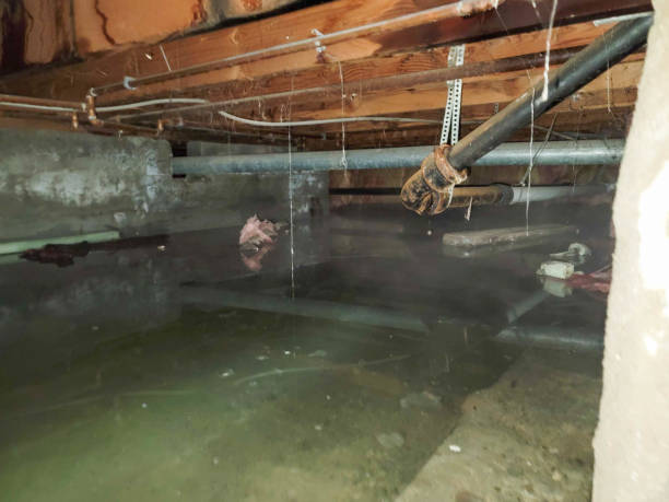 Best Water damage cleanup near me  in East Providence, RI