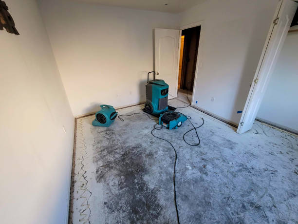 Best Ceiling water damage repair  in East Providence, RI