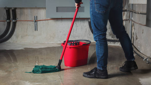Best Mold removal after water damage  in East Providence, RI