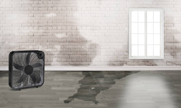 Best 24-hour water damage restoration  in East Providence, RI