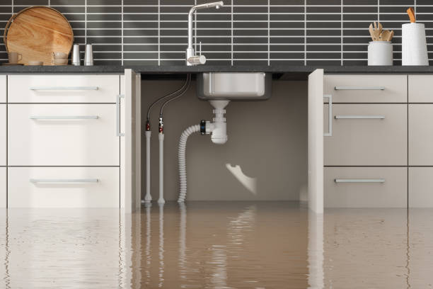 Best Basement water damage restoration  in East Providence, RI