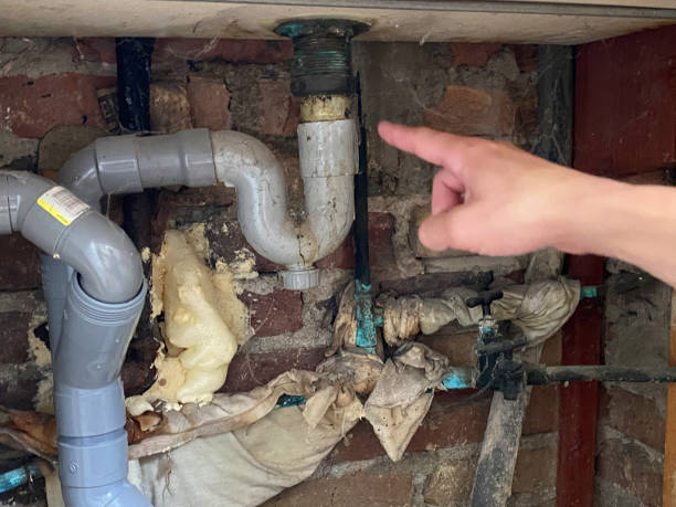 Best Mold removal after water damage  in East Providence, RI